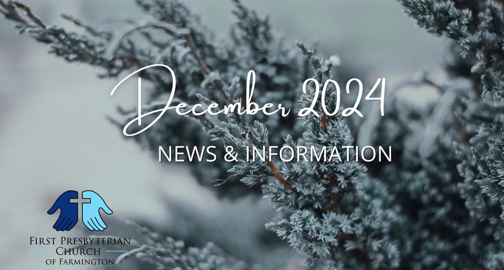 Winter evergreens with the title December 2024 News and Information