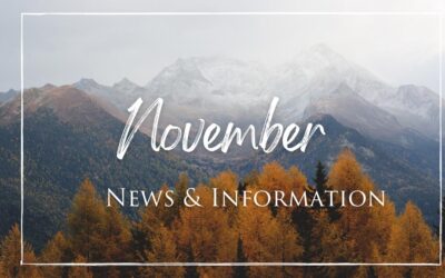 November 2022 News and Information