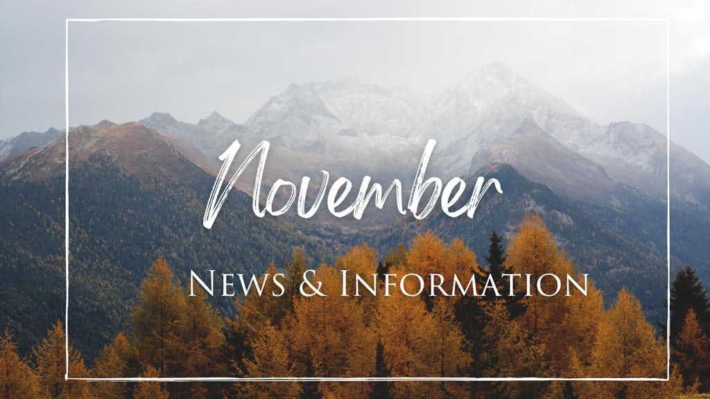 November 2022 News and Information