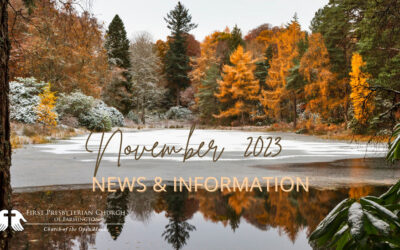 November 2023 News and Information